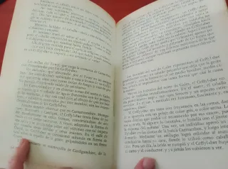 La hechicería en acción