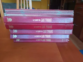 La pasión por los toros