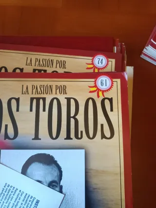 La pasión por los toros