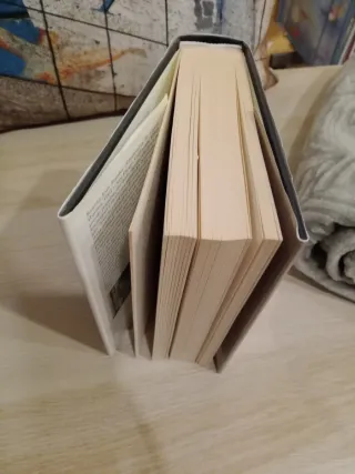 Las novelas de los perdedores