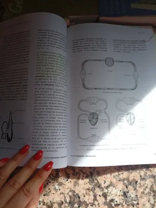 Geografía: prueba específica : prueba de acceso...