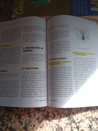 Geografía: prueba específica : prueba de acceso...