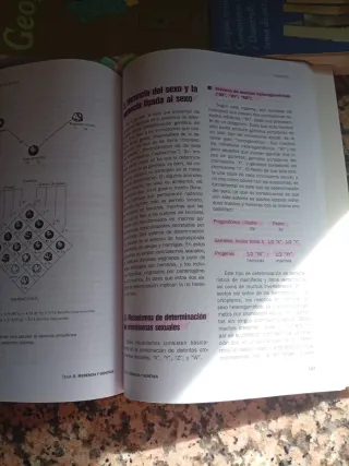 Geografía: prueba específica : prueba de acceso...