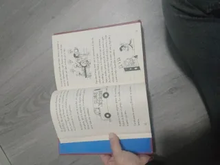 2 Libros de diario de greg