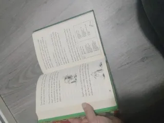 2 Libros de diario de greg