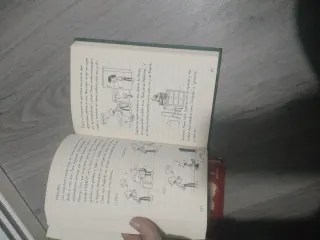 2 Libros de diario de greg