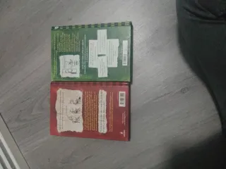 2 Libros de diario de greg