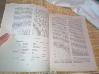 Libr EJERCICIOS DE IMAGINERÍA ZEN Shizuto Masunaga