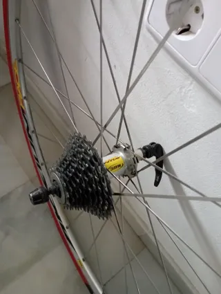 Juego Ruedas Mavic Aksium Race con radios planos.