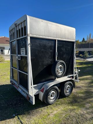 Remolque caballos 2 plazas