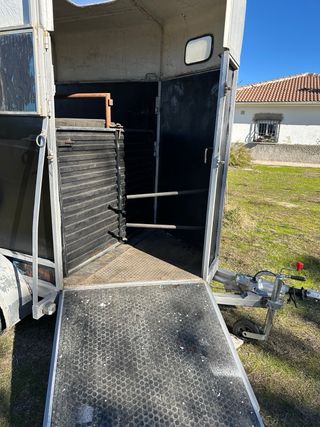 Remolque caballos 2 plazas