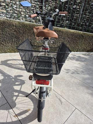 Bici elettrica pieghevole Nilox J1 Plus