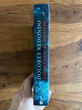 Esperando al diluvio