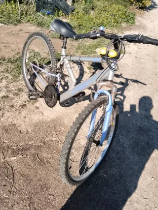 Bicicleta de Montaña