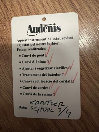 Violín Audenis 3/4 con accesorios