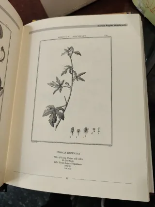 Libro Difusión de la Ciencia en la España Ilustrad