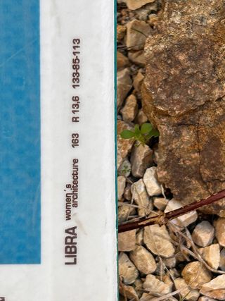 Esquís Head Total Joy 163 cm