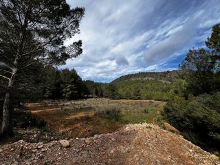 Terreno en L’Olleria.