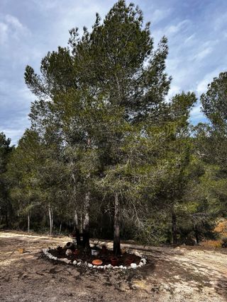 Terreno en L’Olleria.