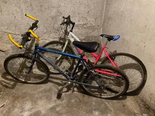 2 Bici MTB  Blu rossa
