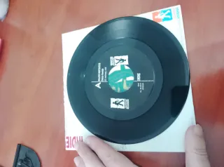 Vinilo BAJOS INSTINTOS Indie