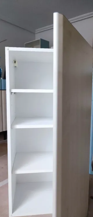 Armario. Se recoge en Toledo