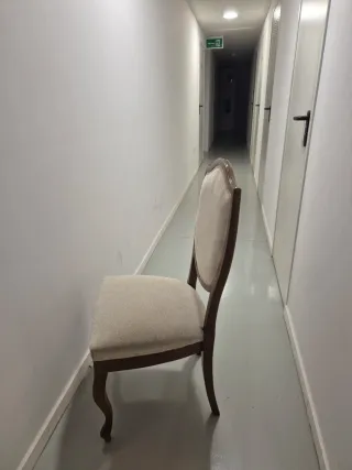 Seis sillas de salón tapizadas Haya