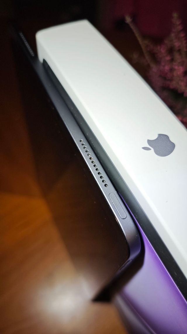 iPad Pro 11 1ª Gen 256GB Wifi Argento