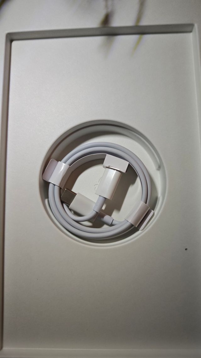 iPad Pro 11 1ª Gen 256GB Wifi Argento