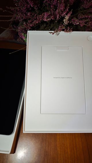 iPad Pro 11 1ª Gen 256GB Wifi Plata