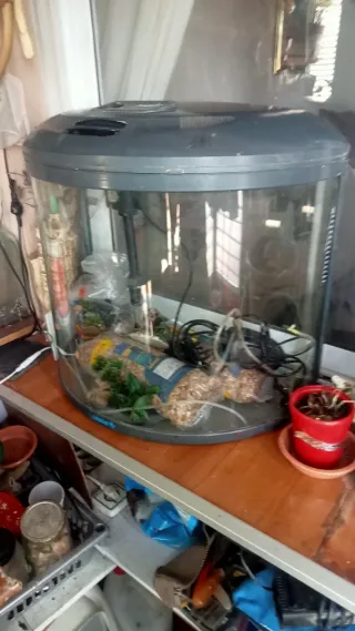 Acuario 60L peces agua fría con aireador. Graba