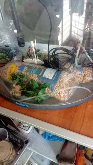 Acuario 60L peces agua fría con aireador. Graba