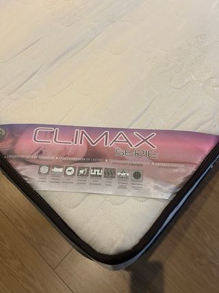 2 Somieres y colchones. Cama nido