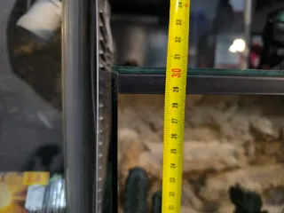 Terrario decorado desierto