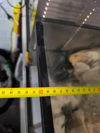 Terrario decorado desierto