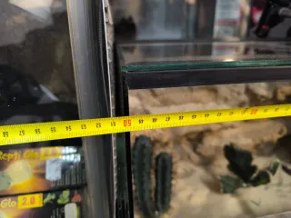 Terrario decorado desierto