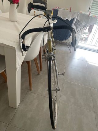 Bicicleta Clásica Zeus Talla 55