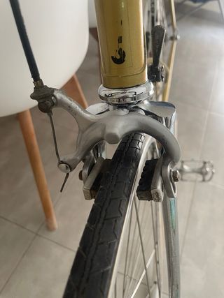 Bicicleta Clásica Zeus Talla 55