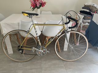 Bicicleta Clásica Zeus Talla 55