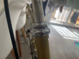 Bicicleta Clásica Zeus Talla 55