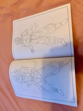 DRAGON BALL libro colorear 100 ilustraciones