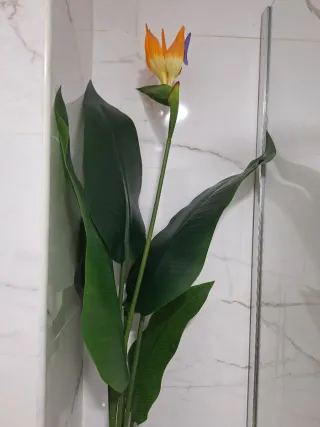 Plantas artificial decorativas