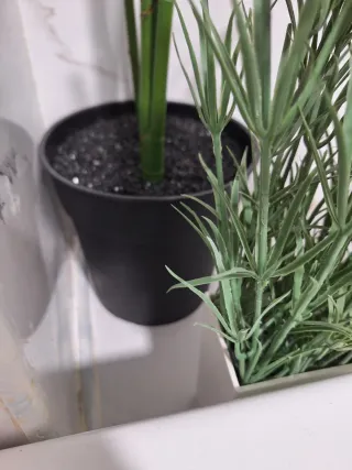 Plantas artificial decorativas