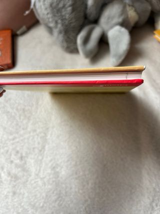 Rita y los ladrones de tumbas