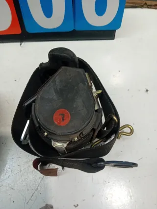 Cinturón Seguridad Delantero Ford Focus MK1