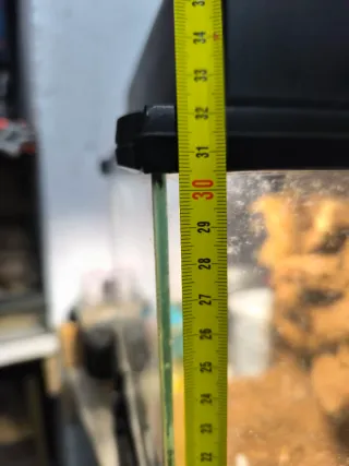 Terrario con foco de luz