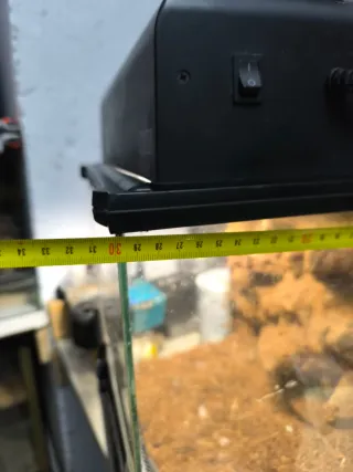 Terrario con foco de luz