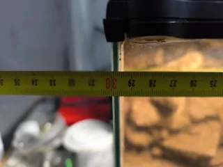 Terrario con foco de luz