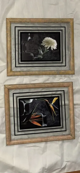 Juego de 2 cuadros de decorativos varios modelos.