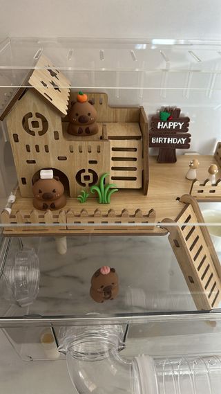 Jaula/Terrario Hámster Transparente